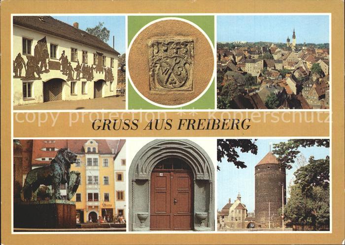 Freiberg Sachsen Portal August-Bebel-Strasse Loewe Stadtwappen Brunnen Otto der
