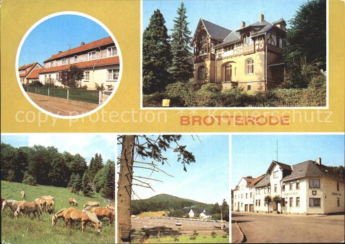 Brotterode Siedlerstrasse Jugendherberge Ernst Knaack Haflinger