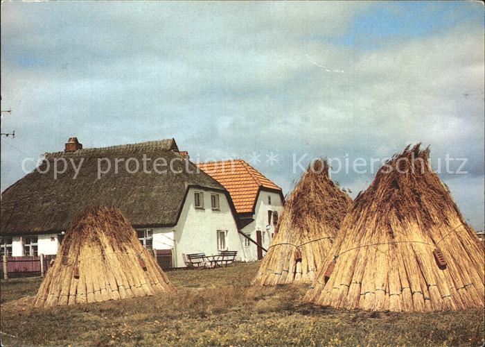 Insel Hiddensee Reetdachhaeuser