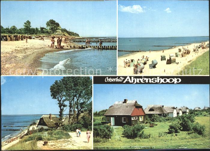 Ahrenshoop Ostseebad Strand Reetdachhaeuser
