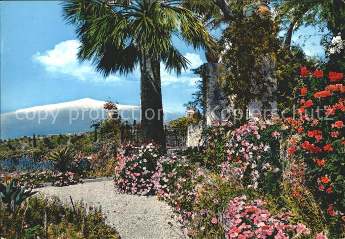 Taormina Sizilien L´Etna di tra i fiori der Aetna Berg zwischen der Blumen geseh