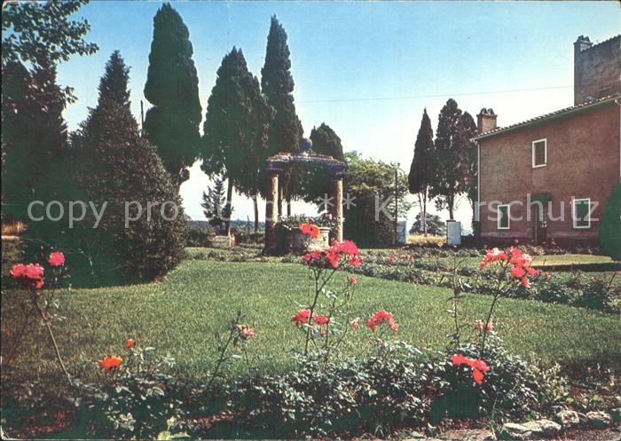 San Guido Livorno dolce Maremma