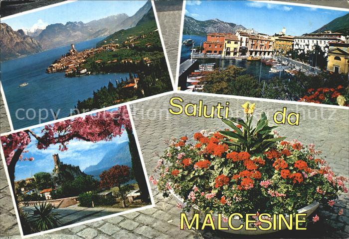 Malcesine Lago di Garda Lago di Garda