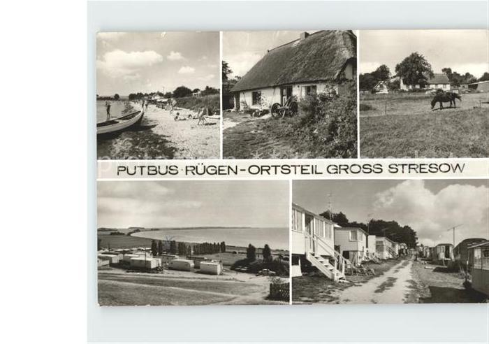 Putbus Ruegen Strand Feriendorf Pferd