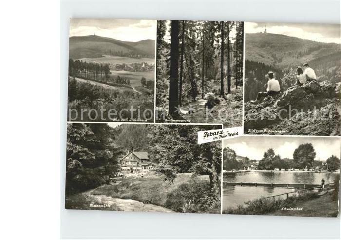 Tabarz Schwimmbad Inselsberg