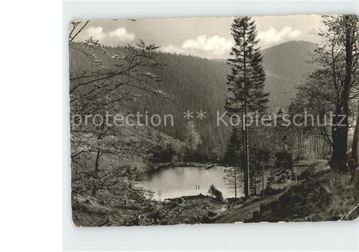 Oberhof Thueringen Pfanntalsteich