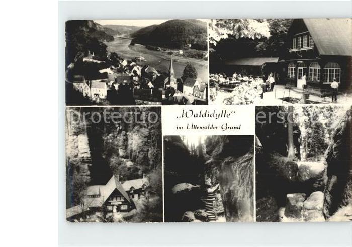 Uttewalder Grund Waldidylle