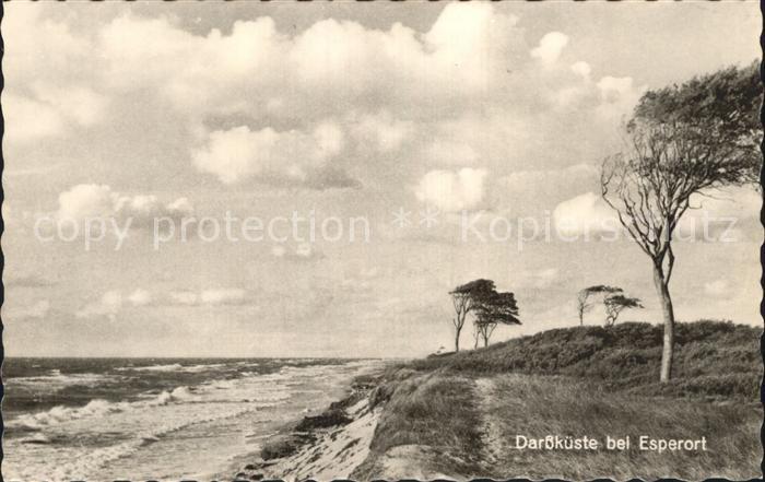 Darss Region Ostsee Kueste Esperort