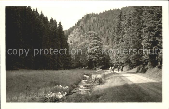 Oberhof Thueringen Silbergraben Raeuberstein