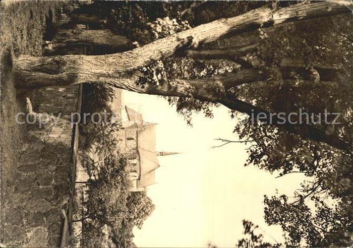 Chorin Kloster Nordgiebel