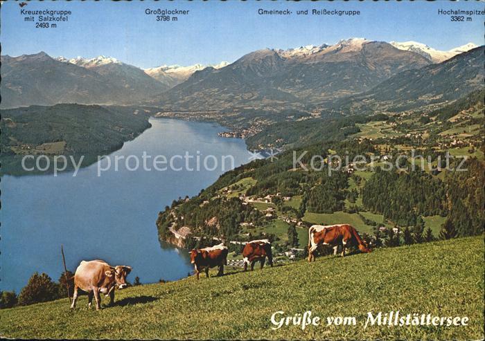 Millstaettersee Kaernten See Panorama