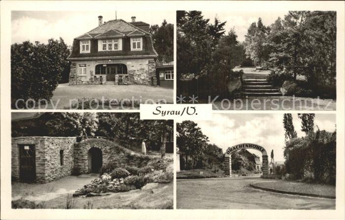 Syrau Vogtland Drachenhoehle