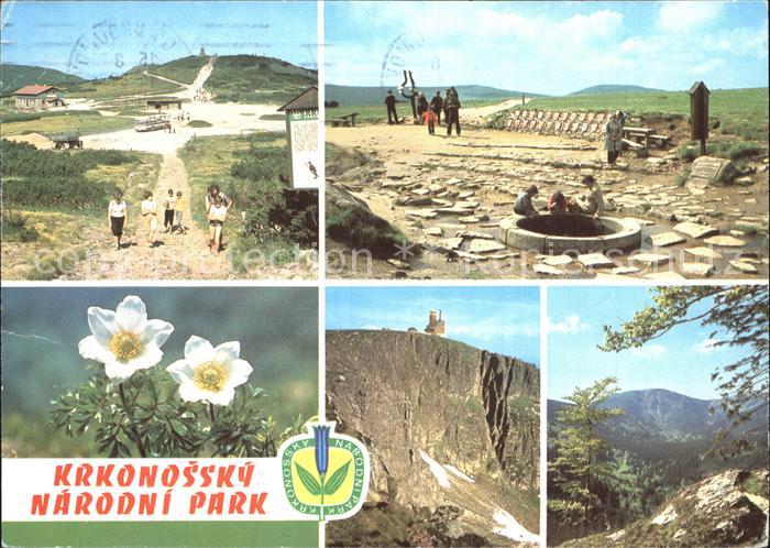 Krkonose Pramen Labe Koniklec bily Snezne jamy Kotel