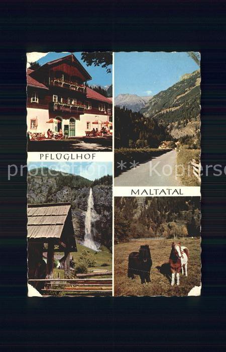 Maltatal Kaernten Alpenhotel Pflueglhof