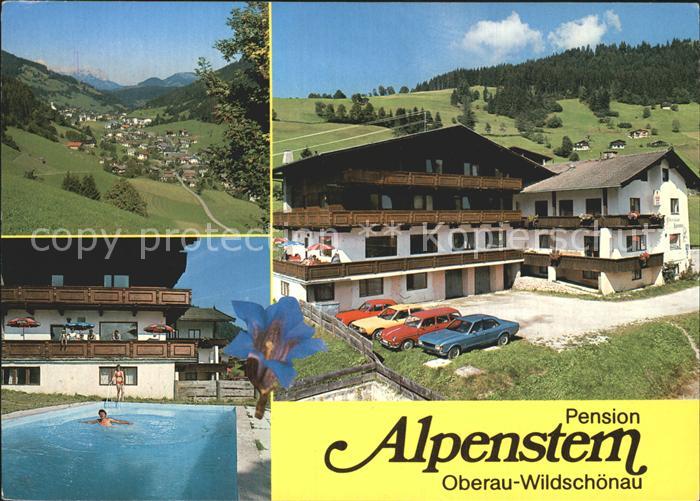 Wildschoenau Tirol Pension Alpenstern