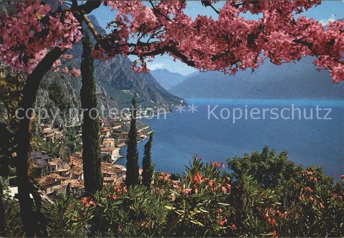 Limone sul Garda Panorama