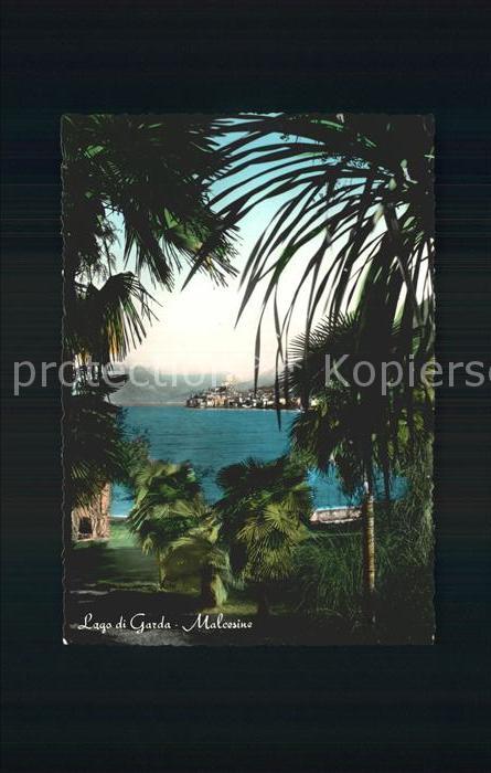 Malcesine Lago di Garda Palmen See