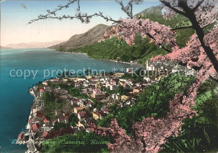 Cannero Riviera Lago Maggiore Stadtansicht