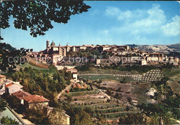 Urbino Gesamtansicht