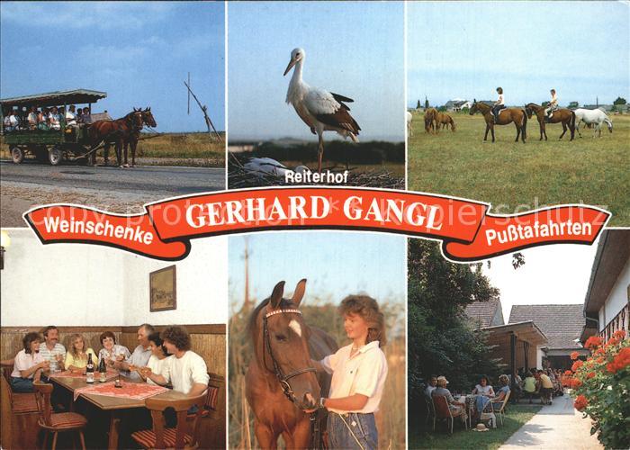 Illmitz Weinschenke Gerhard Gangl Pusstafahrten