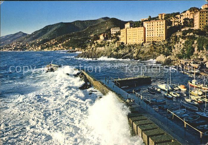 Camogli Golfo Paradiso Hafen