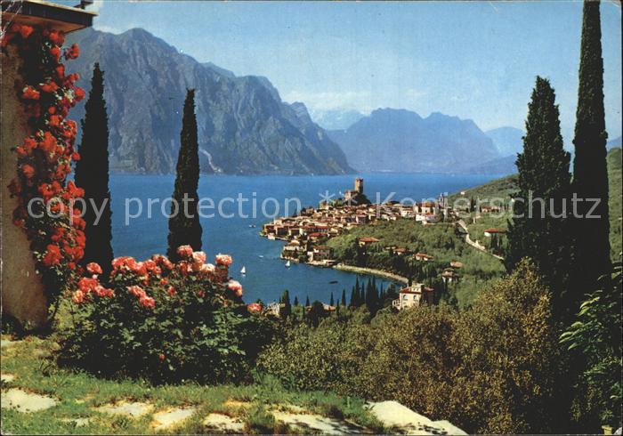 Malcesine Lago di Garda Gardasee Panorama