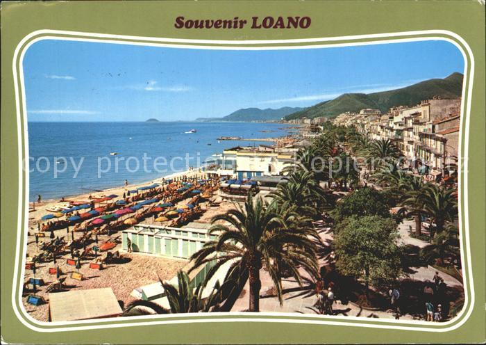 Loano Strand Palmen Meer