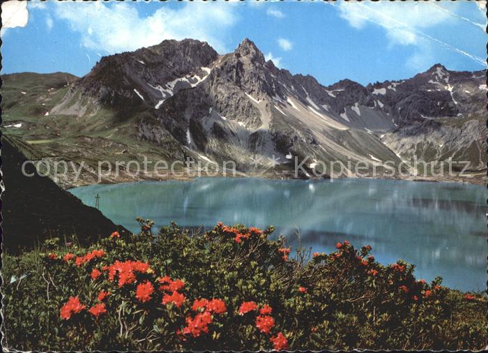 Luenersee Vorarlberg Alpenrosen Brandnertal