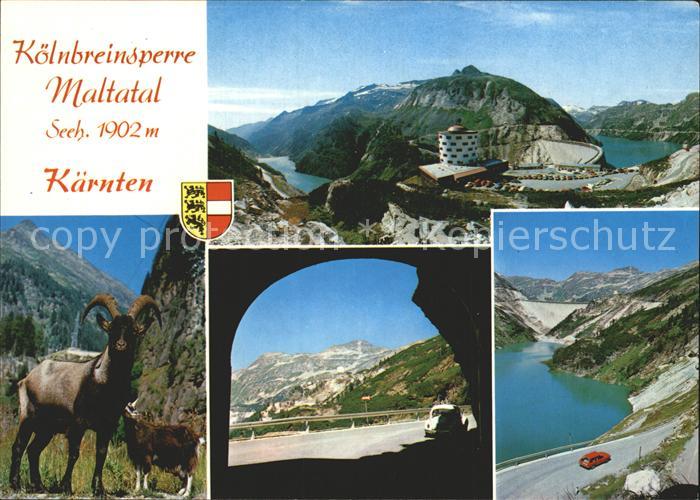 Maltatal Kaernten Koelnbreinsperre Steinboecke