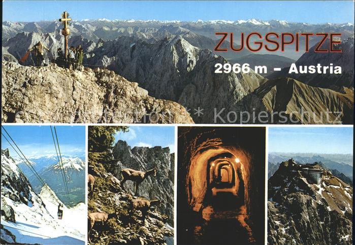 Zugspitze Gipfelkreuz Gemsen Seilbahn Bergstation