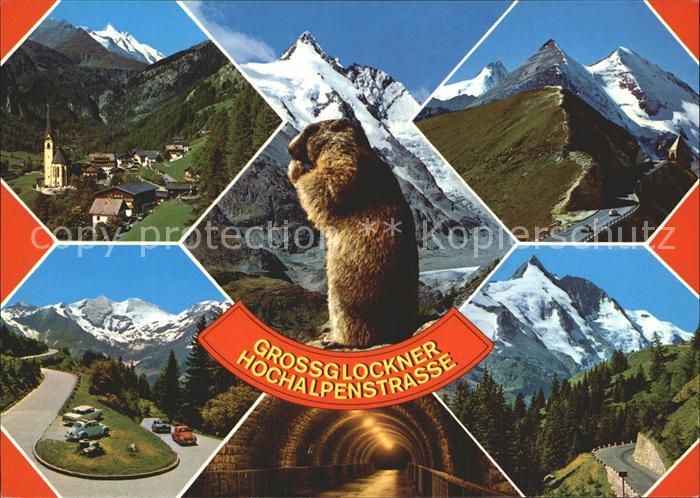 Grossglockner Hochalpenstrasse Panorama Heiligenblut Murmeltier
