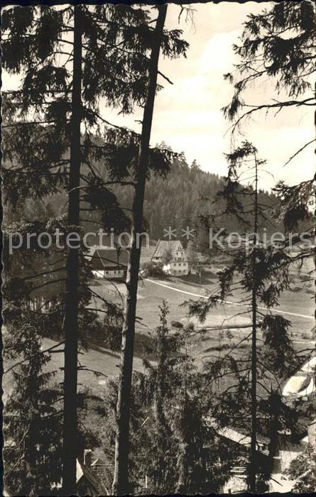 FREUDENSTADT BW Baerenschloesschen Schwarzwald