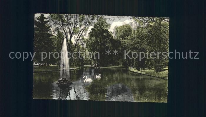 Bad Orb Weiher im Kurpark Fontaene Schwaene