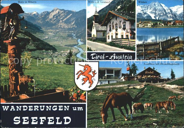 Seefeld Tirol Wandergebiet Moesern Holzschnitzerei Brunnen Leutasch Wildsee Alpe