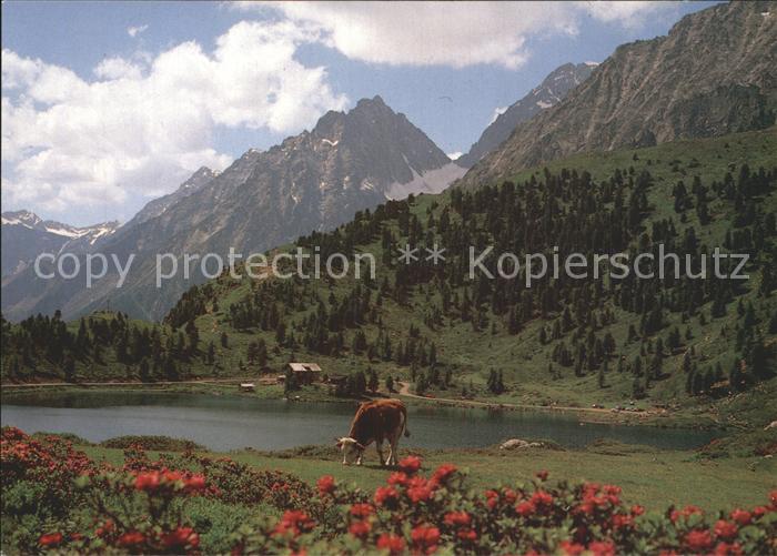 St Jakob Defereggen Wanderparadies am Obersee Oberseehuette Stallersattel Hochga