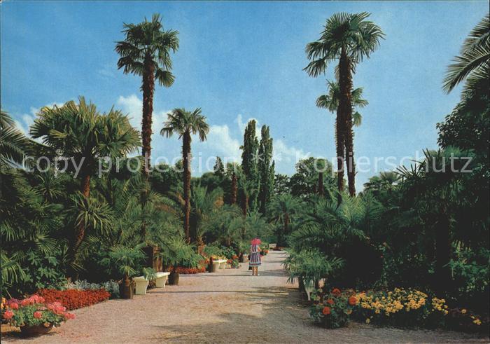 Bad Pyrmont Palmengarten Kurpark