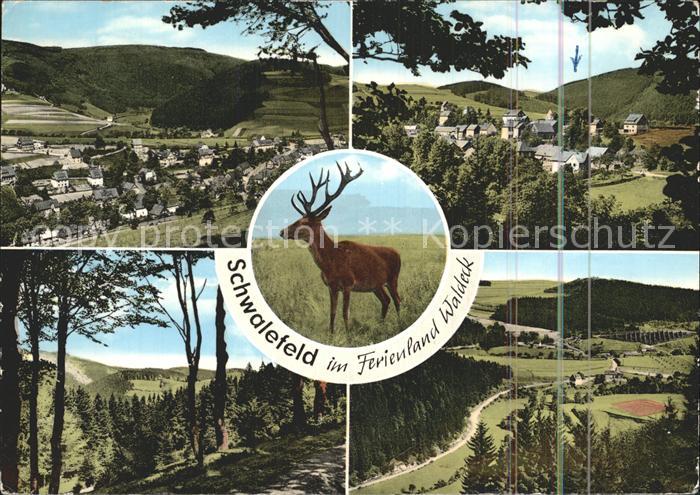 Schwalefeld Panorama Luftkurort Hirsch Waldpartie