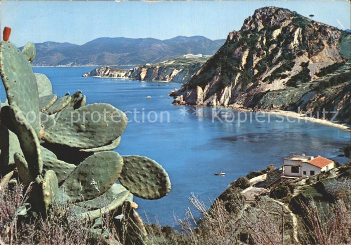 Isola d Elba Golfo di Seccione e Monte Bello