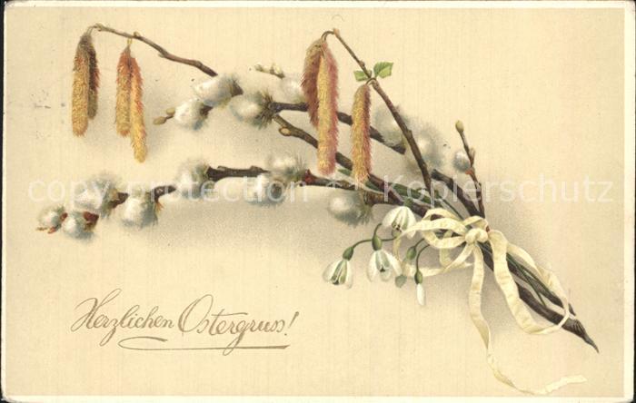 Ostern Easter Paques Weidenkaetzchen Litho