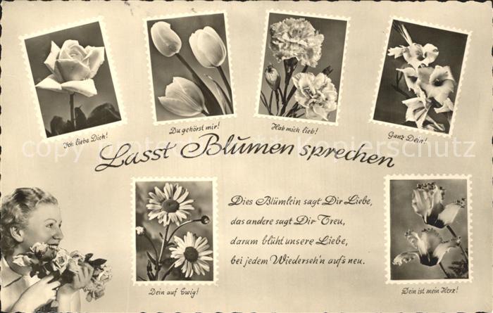 Blumen Blumensprache Rose Tulpe Nelke Gedicht