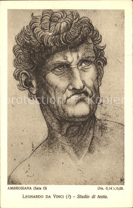 Leonardo Da Vinci Studio di Testa Ambrosiana