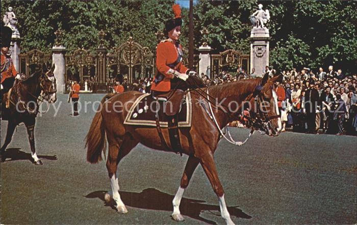 Adel England Queen Elizabeth II. Trooping the Colour Ceremony London