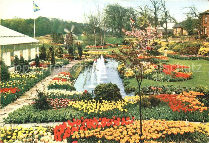 Blumen Tulpen Tulipshow Frans Roozen Vogelenza