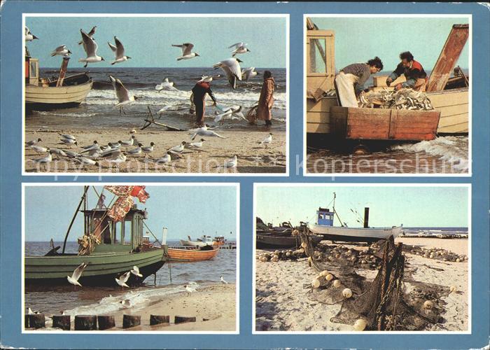 Fischerei Küstenfischerei Insel Usedom Möwen Fisc