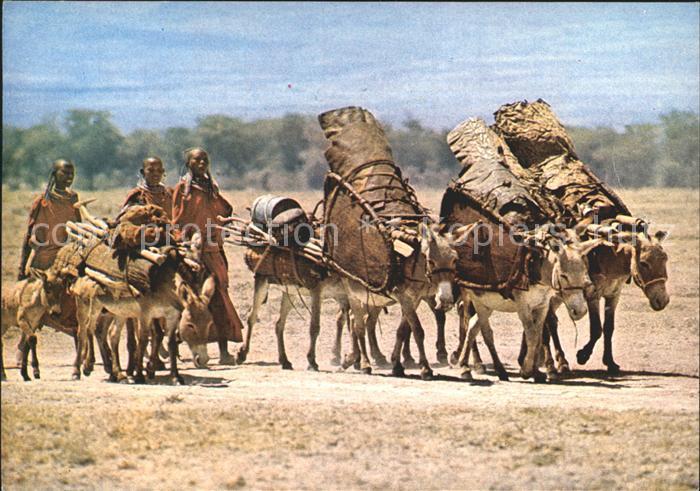 Esel Tiere Masai Masaifrauen