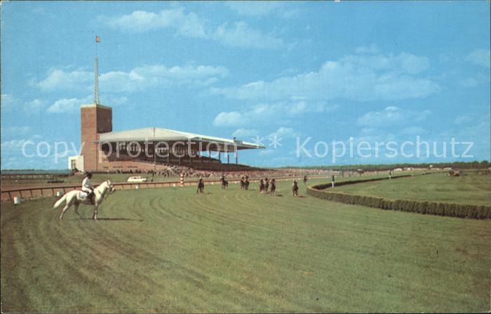 Pferdesport Pferderennen Reitsport Atlantic City Race Course