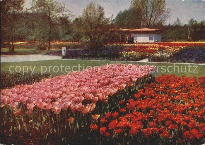 Gartenbauaustellung Erfurt Tulpenfelder