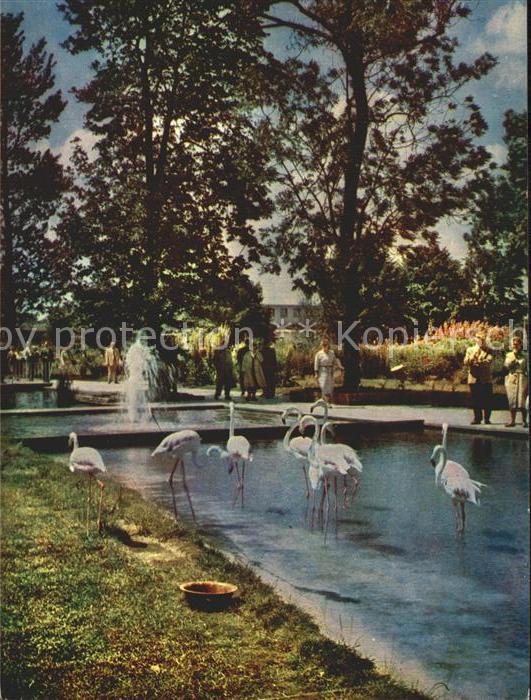 Gartenbauaustellung Erfurt Flamingos Wasserachse