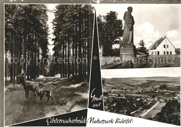 Echternacherbrueck Panorama Naturpark Suedeifel Waldpartie Rehe Denkmal