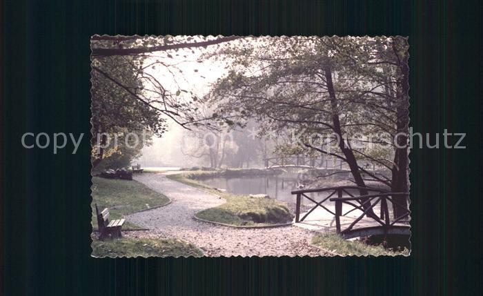 Koenigstein Taunus Parkanlagen Teich Holzbruecke